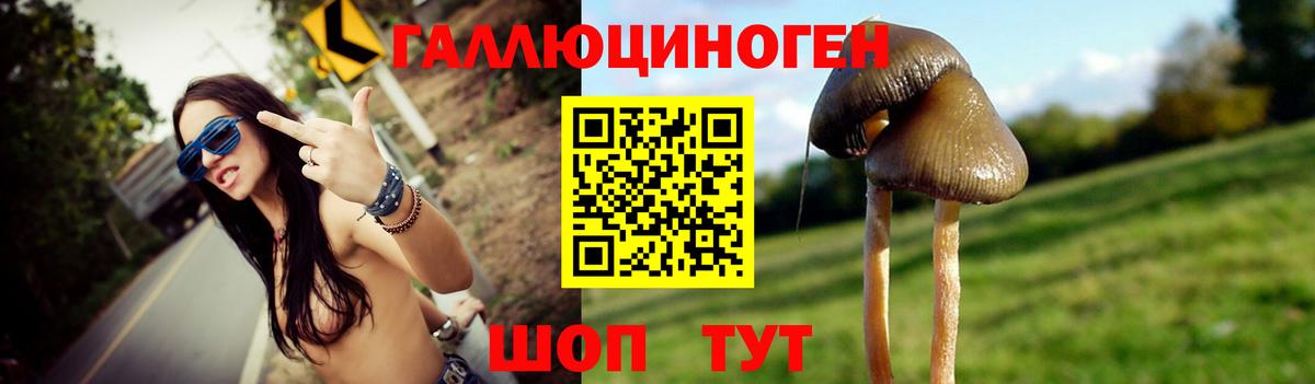Галлюциногенные грибы MAGIC MUSHROOMS Мыски